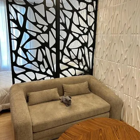 Studio Concu Comme D'hotel